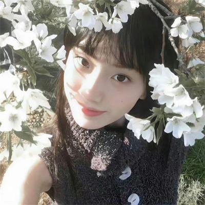悬案密码2:野鸡杀手
